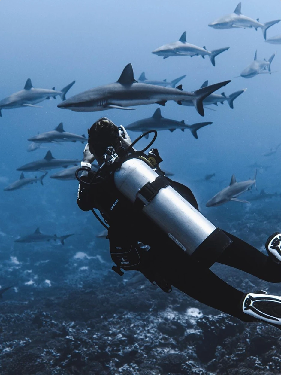 Snorkeling